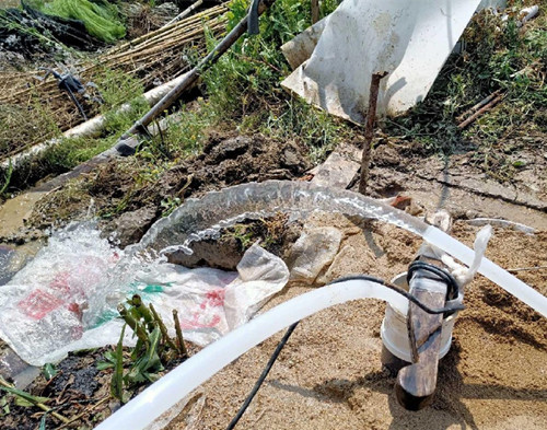 亭湖鱼塘边打井
